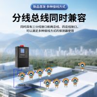 QD6000Ⅱ-氣體報(bào)警控制器